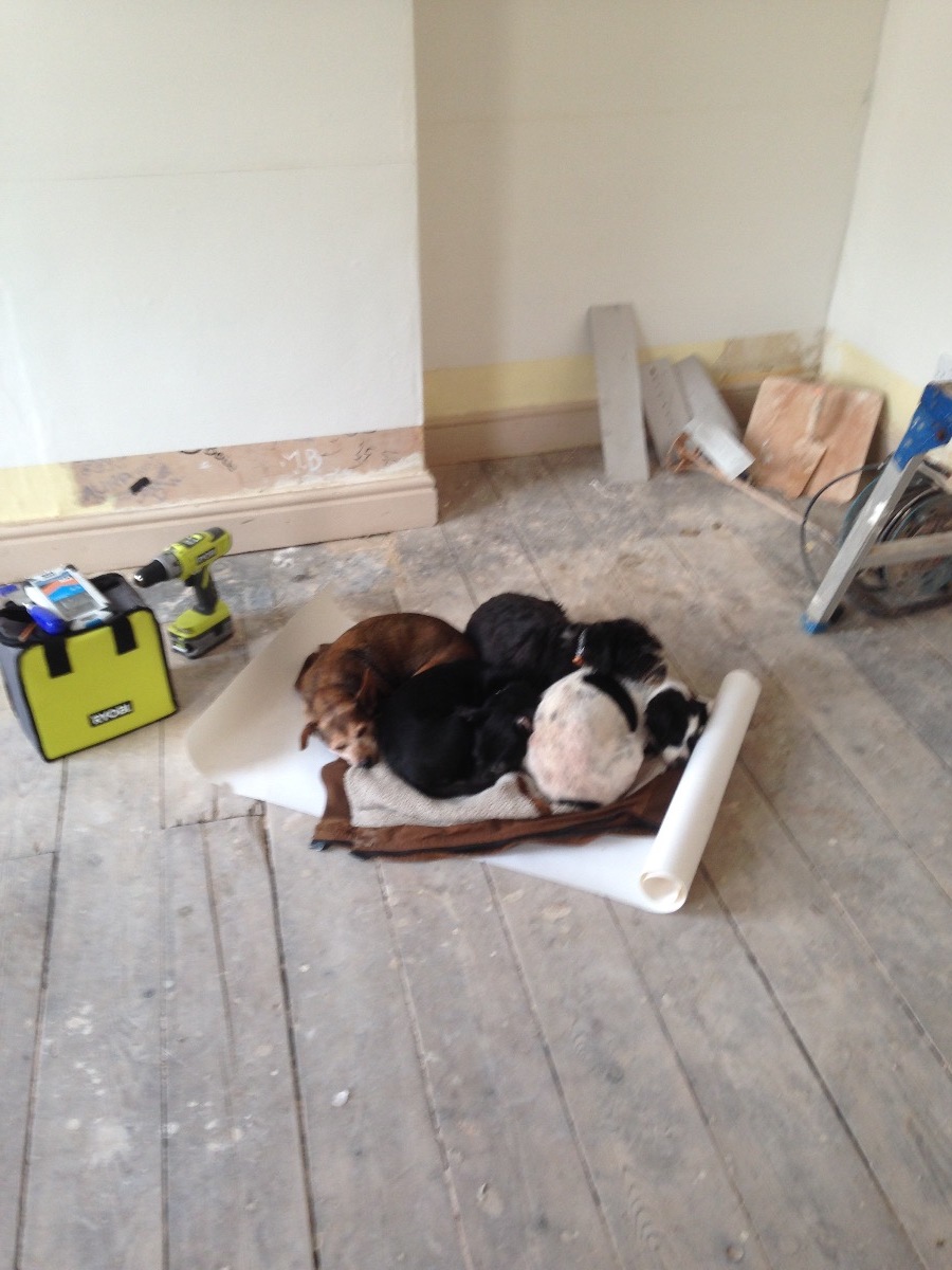 Company: Image 4